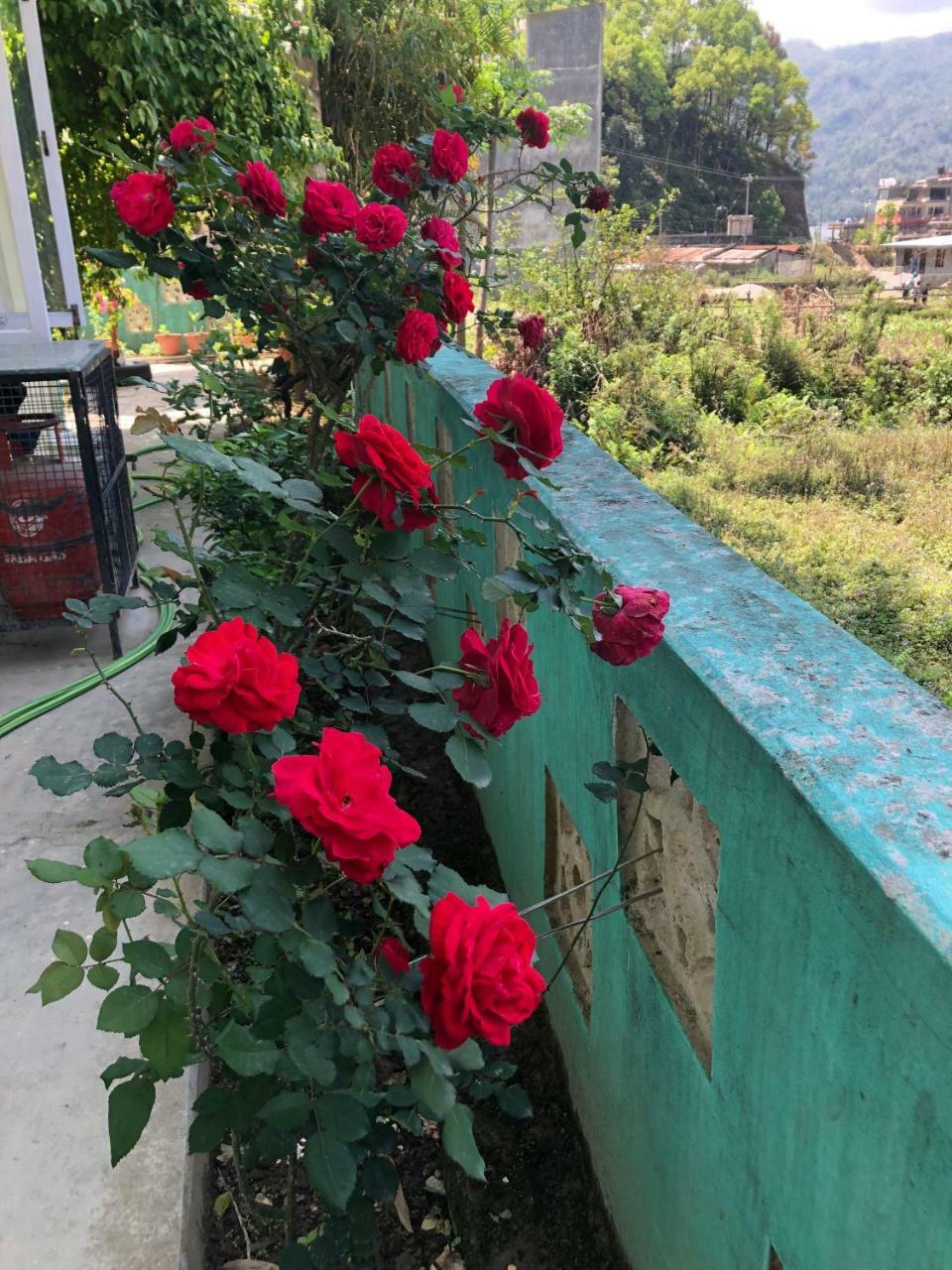Happy Sedi Lodge Pokhara Eksteriør billede